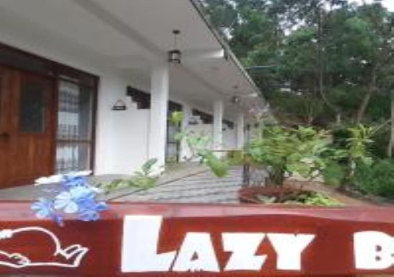 Lazy Bear *